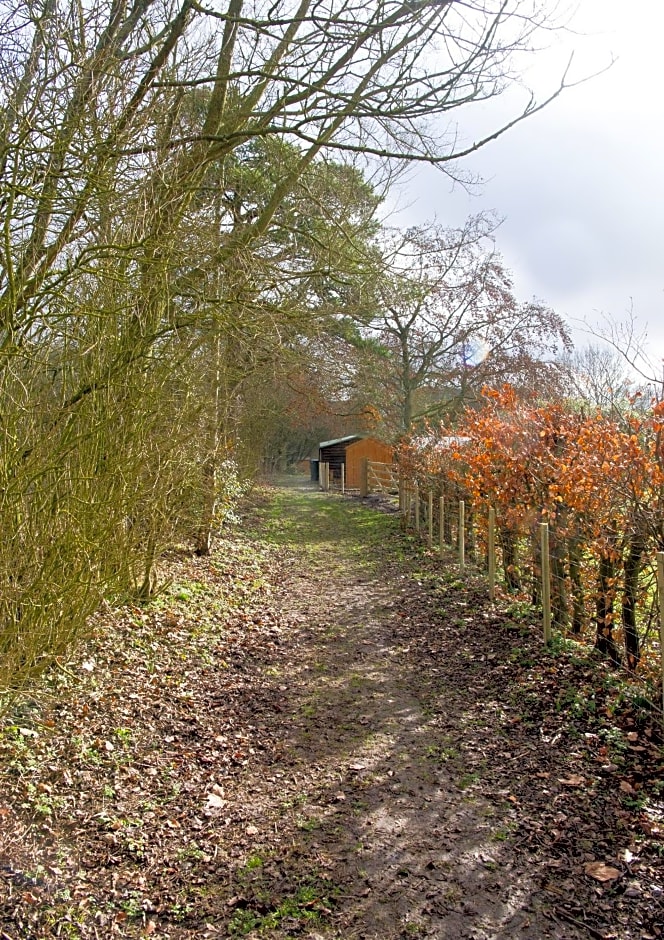 The Cabin with Hot Tub