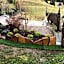 Alpine Touring Hotel-petfriendly