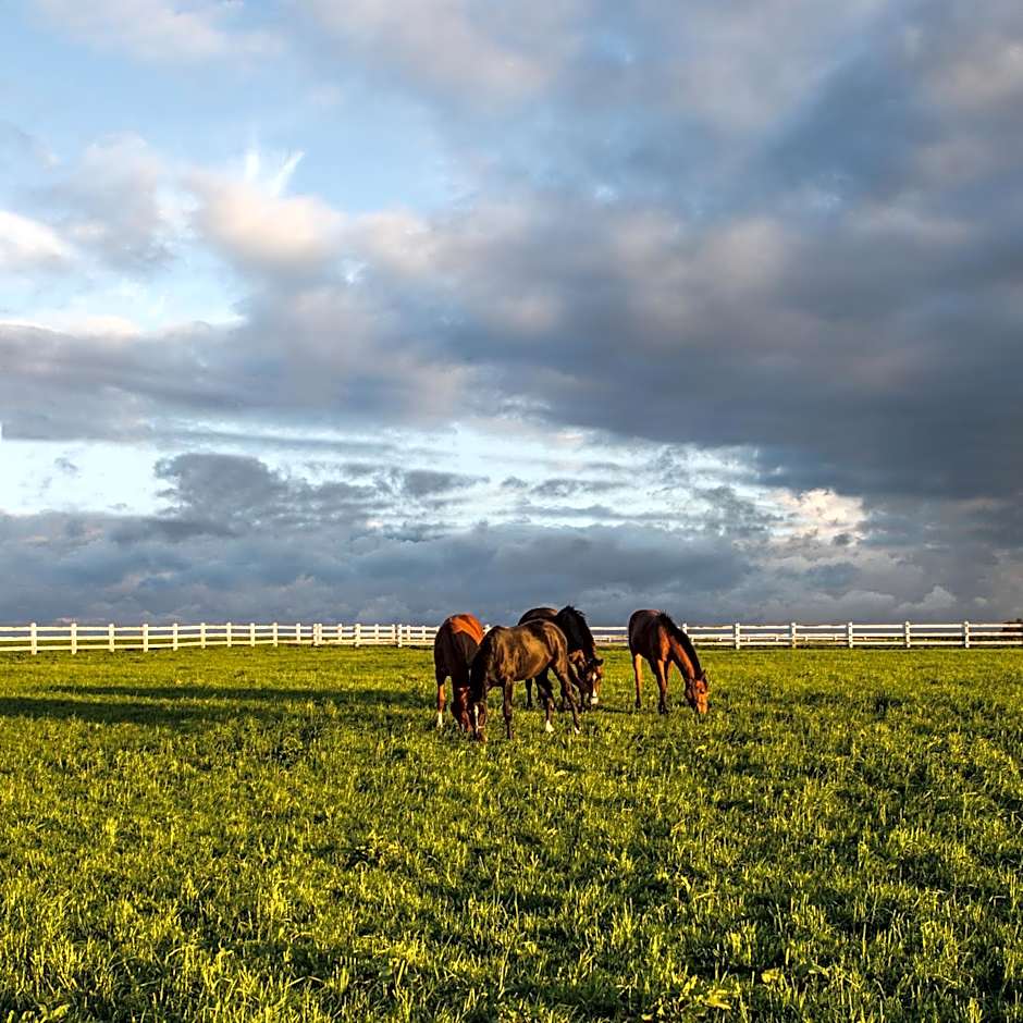 Ciekocinko Powozownia