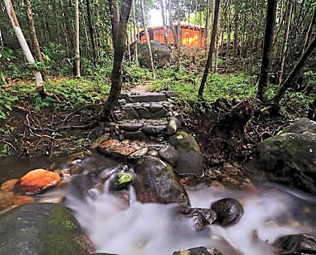 Daintree Cascades