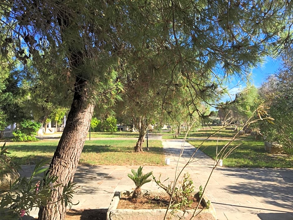 Tenuta L'Alba di monte Matino