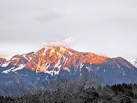 Single Room with Balcony