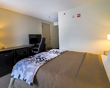 Queen Room - Disability Access