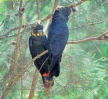 Sacred Mountain Retreat