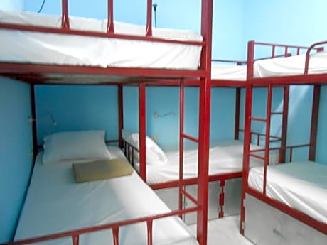 Bunk Bed in Mixed Dormitory Room