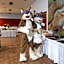 Wellness Hotel Frymburk