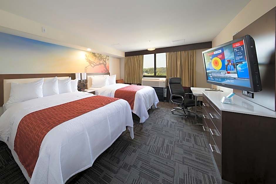 Foto 1 von 8 von 2 Queen Beds, Poolside