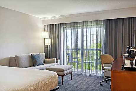 Executive Suite, 1 King, Sofa bed