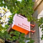 Numa Rome Barberini