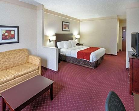 King Suite with Sofa Bed - Accessible/Non-Smoking