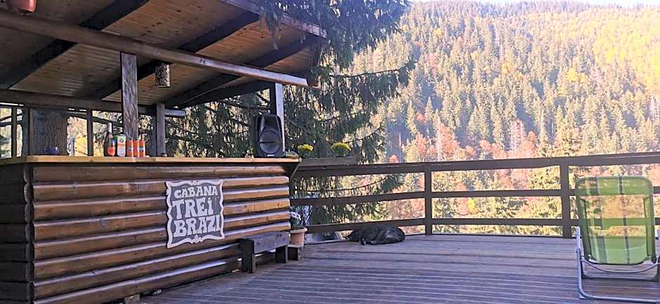 Cabana "Trei Brazi " Retezat
