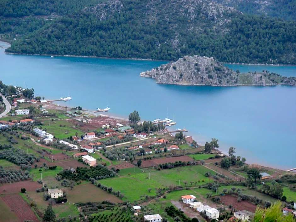 Sakin Vadi Winehouse