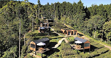 Bobocabin Dieng Pass, Batang