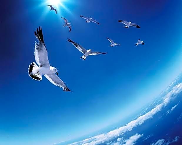 PENGINAPAN BANYU BIRUKu