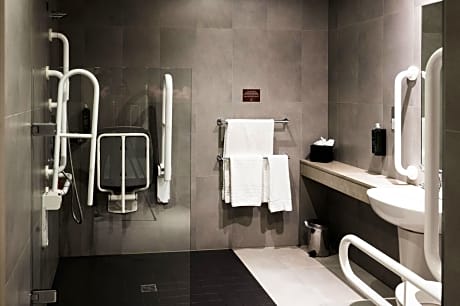 Deluxe King & Single Room