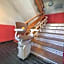 Hostal Alto Aragon