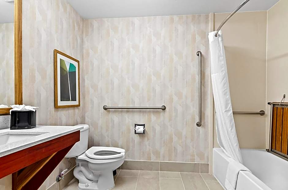 Hampton Inn Houston-Willowbrook Mall