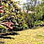 Amy's House Bed & Breakfast