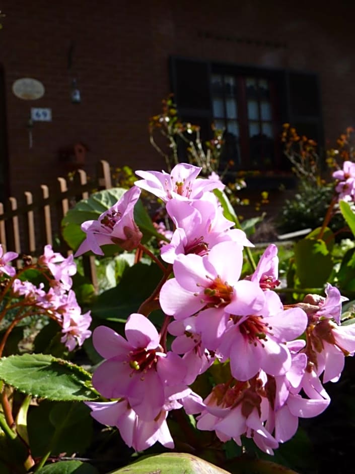 B&B The Roses Garden