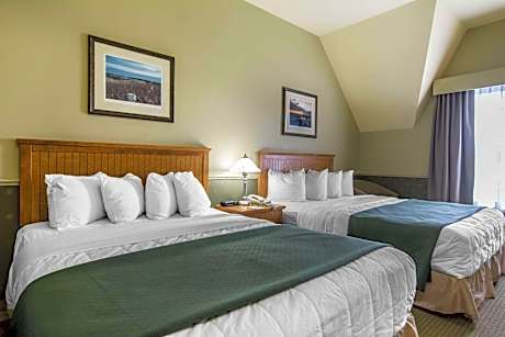 Queen Room with Two Queen Beds - Non-Smoking