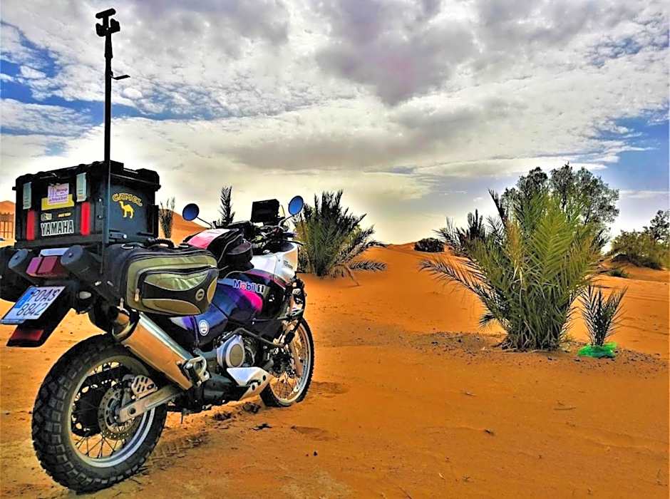 Hotel Camping Les Roses Des Dunes & Piscine