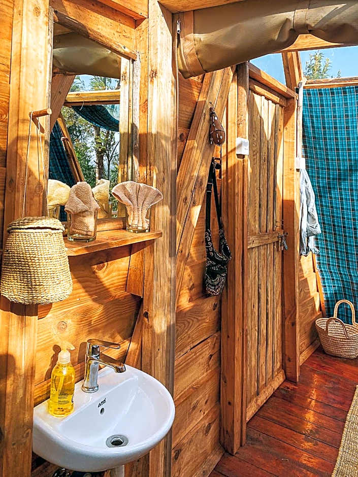 Foresight Eco Lodge & Safari