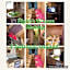 4 bedroom caravan ingoldmells skegness