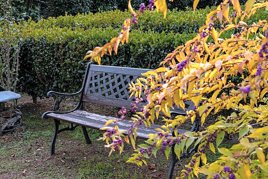 Eco-Resort Parco Botanico Fiorlago