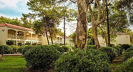 Domes Aulus Zante, Autograph Collection