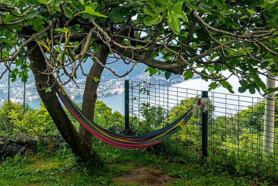 Essentia Guest House