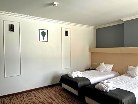Standard Twin Room - Disability Access