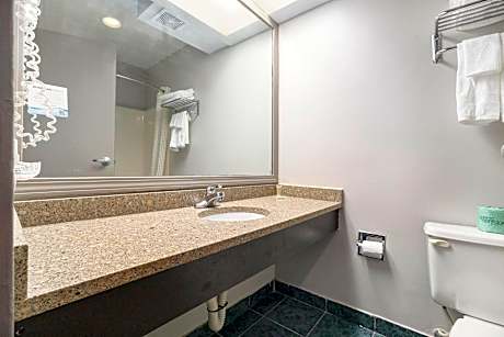 1 King Bed, Nonsmoking