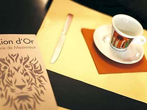 Hôtel Brasserie Le Lion d'Or