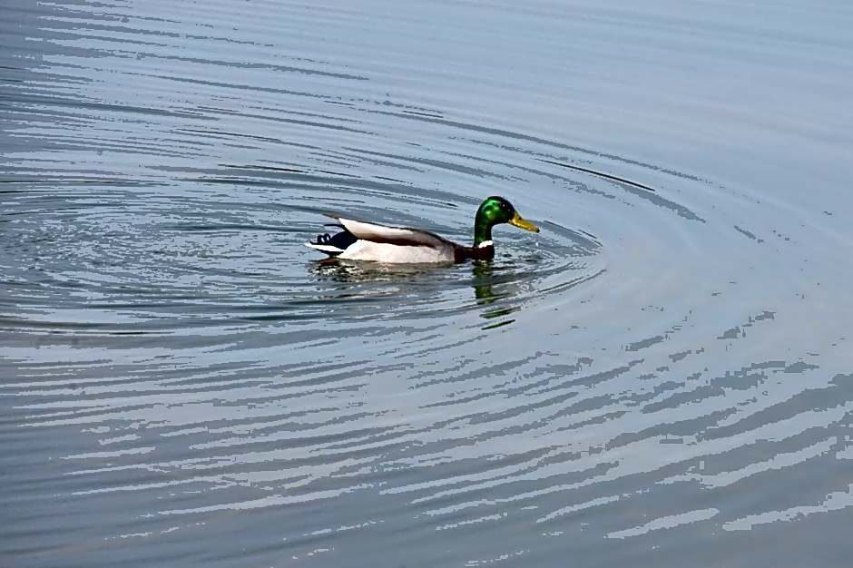 Best Western Golf D'Albon