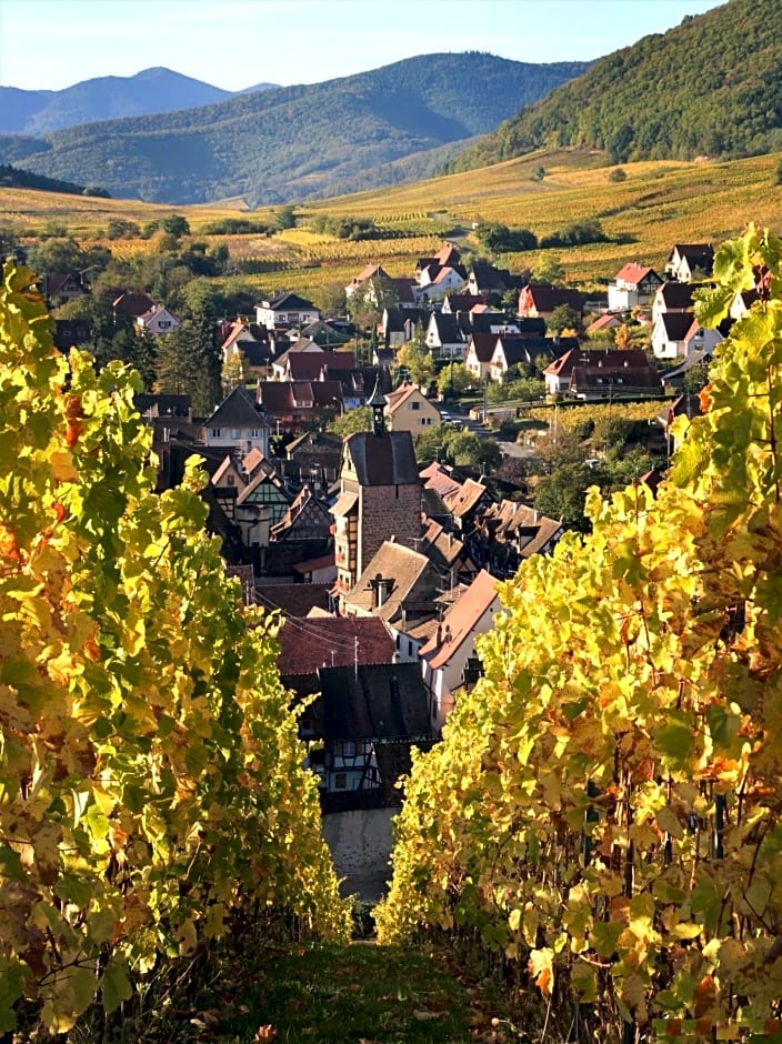 ADRIHOF à Riquewihr, Cour de l'Abbaye d'Autrey