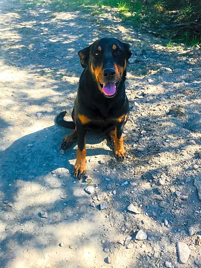 Locations insolites "vie en plein air" cabane et tipi Bastide Bellugue maison d'hôtes reseau Bienvenue à la ferme à 3 mn de lourmarin