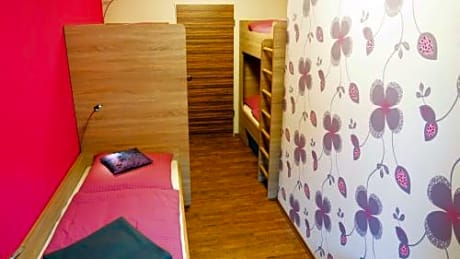 Bunk Bed in Mixed Dormitory Room