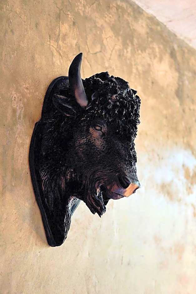 Cabaña El Miradero, Tapalpa