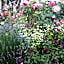 Santi Bhavana Bed & Breakfast