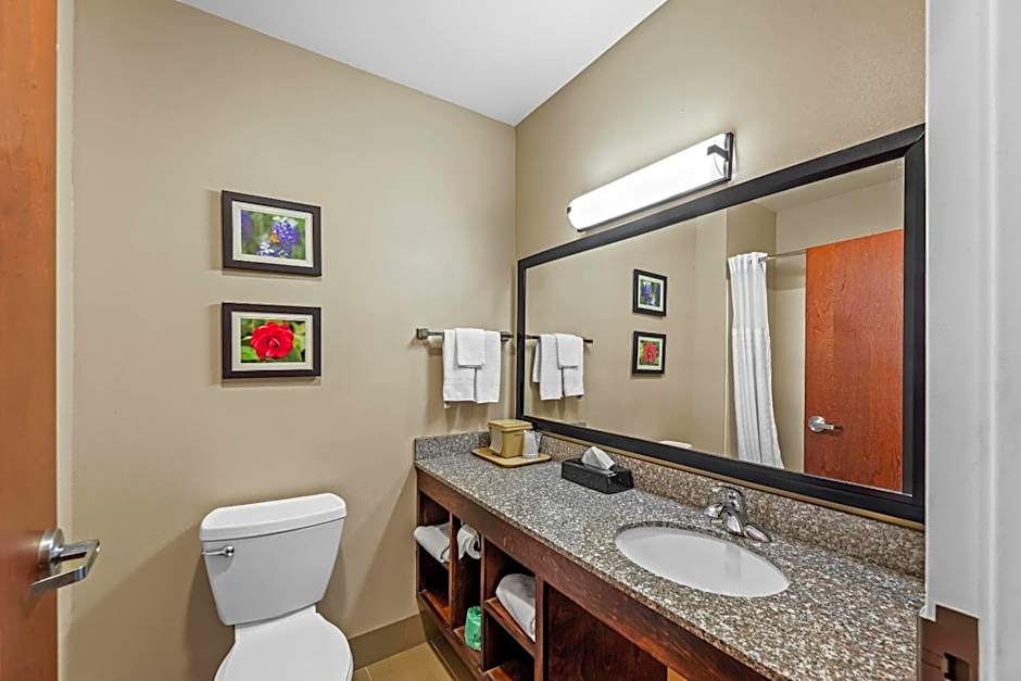 Comfort Inn & Suites Tuscumbia - Muscle Shoals