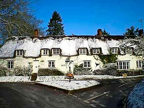 The Brace of Pheasants