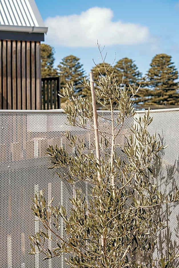 The Oak & Anchor Hotel