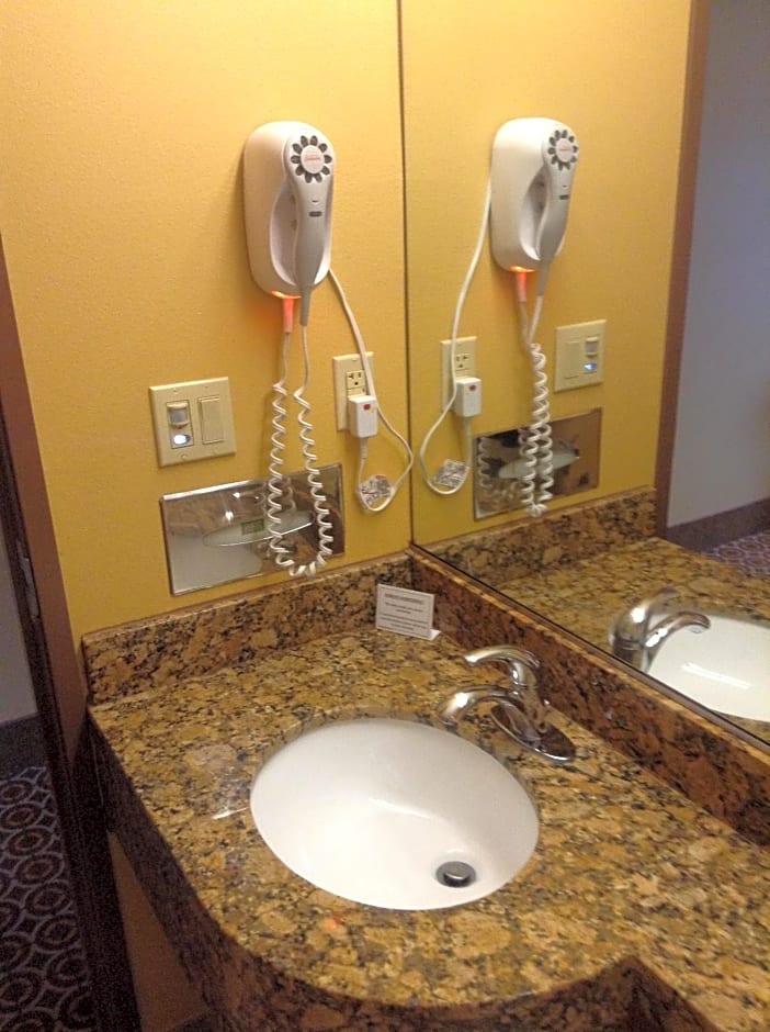 Microtel Inn & Suites By Wyndham South Bend/At Notre Dame