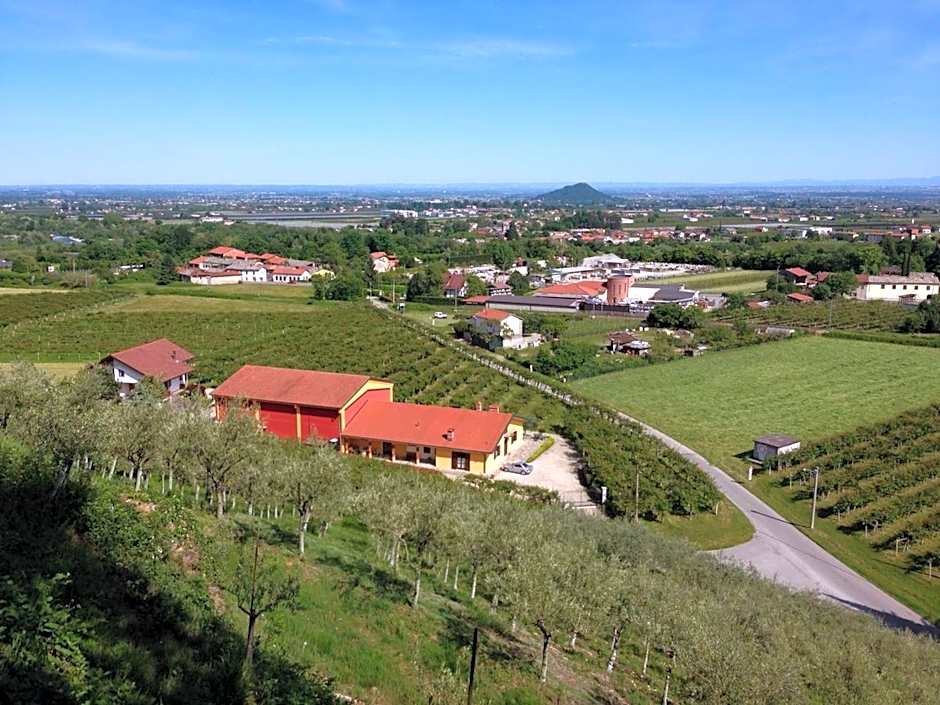 Agrialpi by Salfrutta