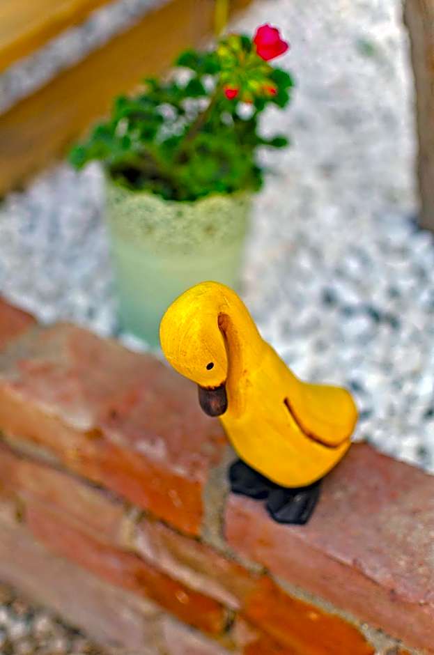 Lilyum Alaçatı - Taş Ev