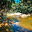 Suíte com Mezanino e Cachoeira no Quintal
