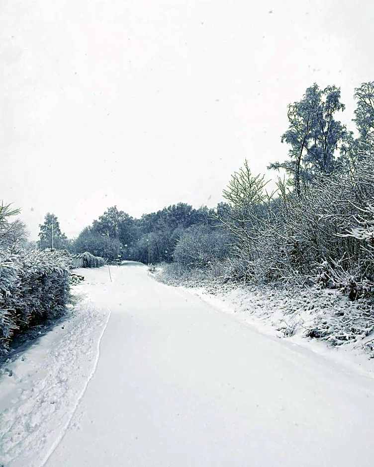 Killeröd Boutique Apartments