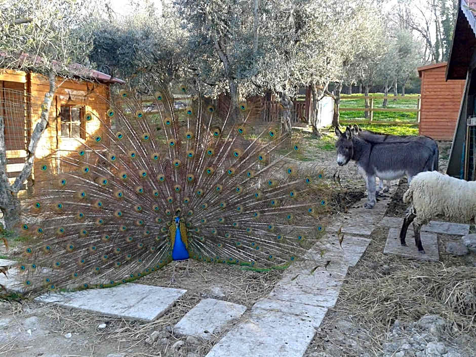 Garden Village San Marino