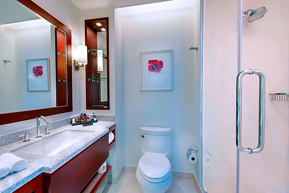 Guyana Marriott Hotel Georgetown