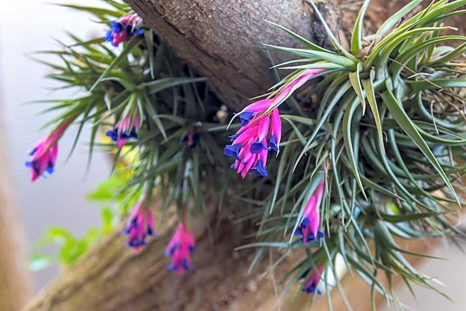 Kingfisher GuestHouse